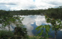 Fazenda georreferenciada no Amazonas p/garantias bancárias, 