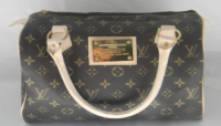 Louis Vuitton SPEDDY MONOGRAM CANVAS