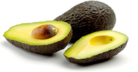 mudas avocado.....abacate