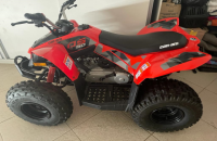 Quadriciclo 2021 Can-Am DS 90