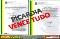 PAMPEANA MÁQUINAS MACANUDA EM IBIRUBÁ BUSCA PARCERIAS
