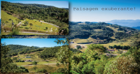 Terreno a venda Rancho Queimado
