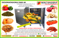 DESIDRATADORA INDUSTRIAL DE ALIMENTOS VENDAS EM SOBRADINHO (