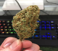 Vendo skunk online - vendas de skunk