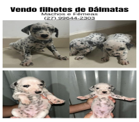 nao tem