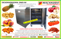 DESIDRATADORA PROFISSIONAL - SECADOR DE FRUTAS E VEGETAIS MA