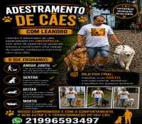 ADESTRAMENTO DE CÃES