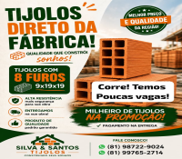 Tijolos de 8 furos direto da Fábrica