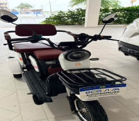 TRICICLO ECOVIVA XE 11