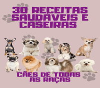 30 receitas saudaveis para pet